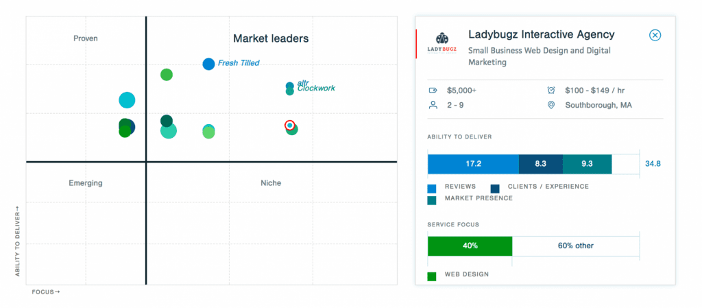 Ladybugz Interactive Recognized as a Top Boston Web Design Agency