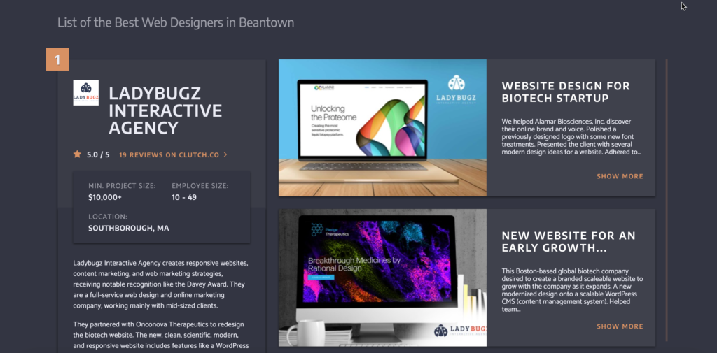 Best Web Designers in Boston MA List