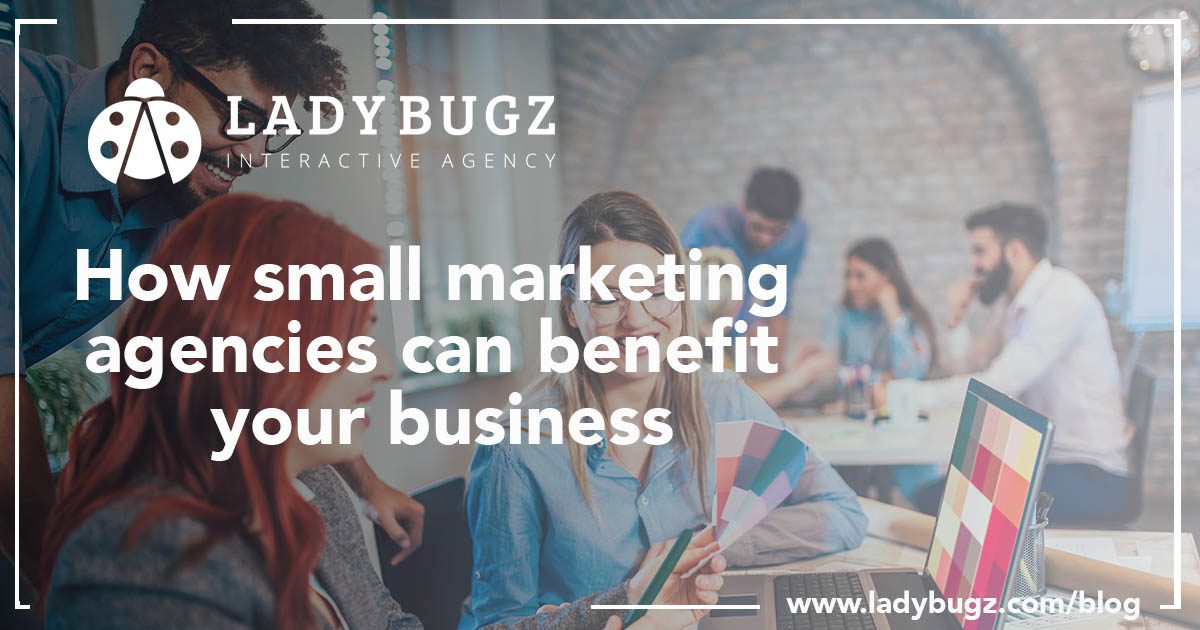 Small marketing agencies for your business. Ladybugz Boston MA