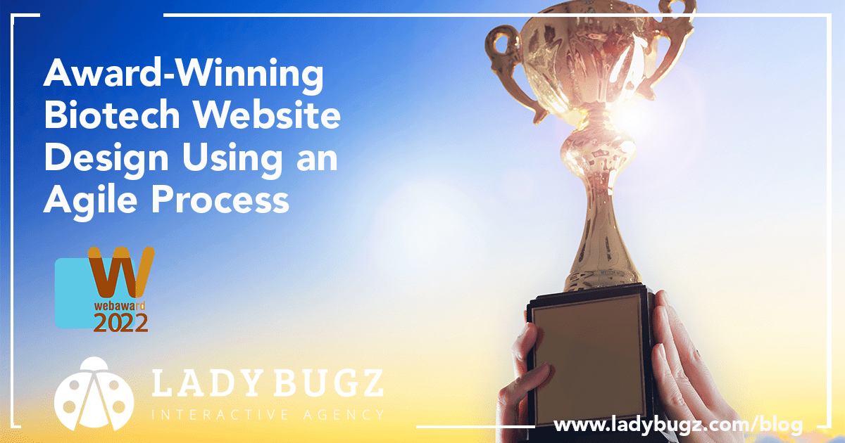 Ladybugz Receives Pretigious Award for award-winning biotech website design OG