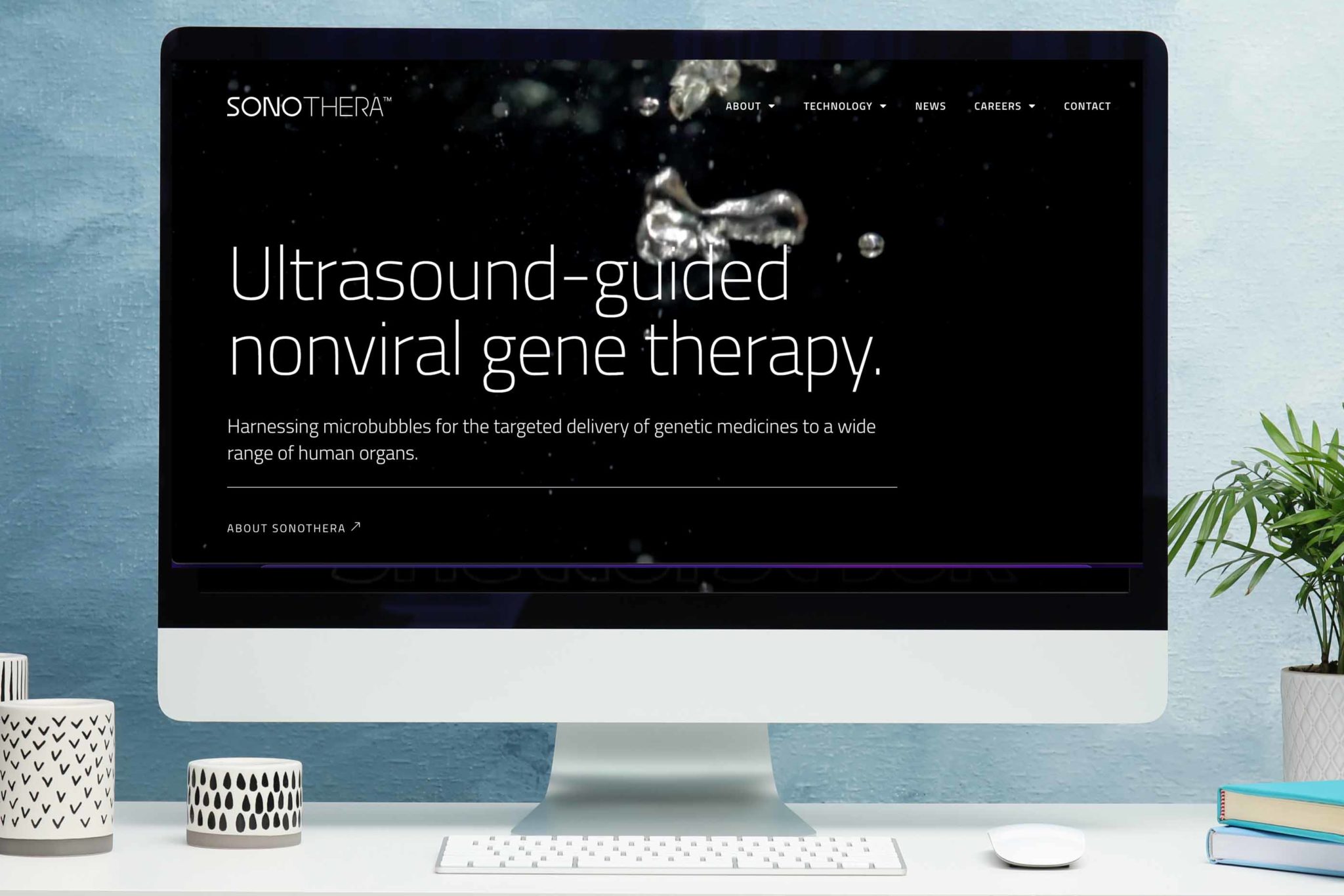 Therapeutics Company Website Design for SonoThera