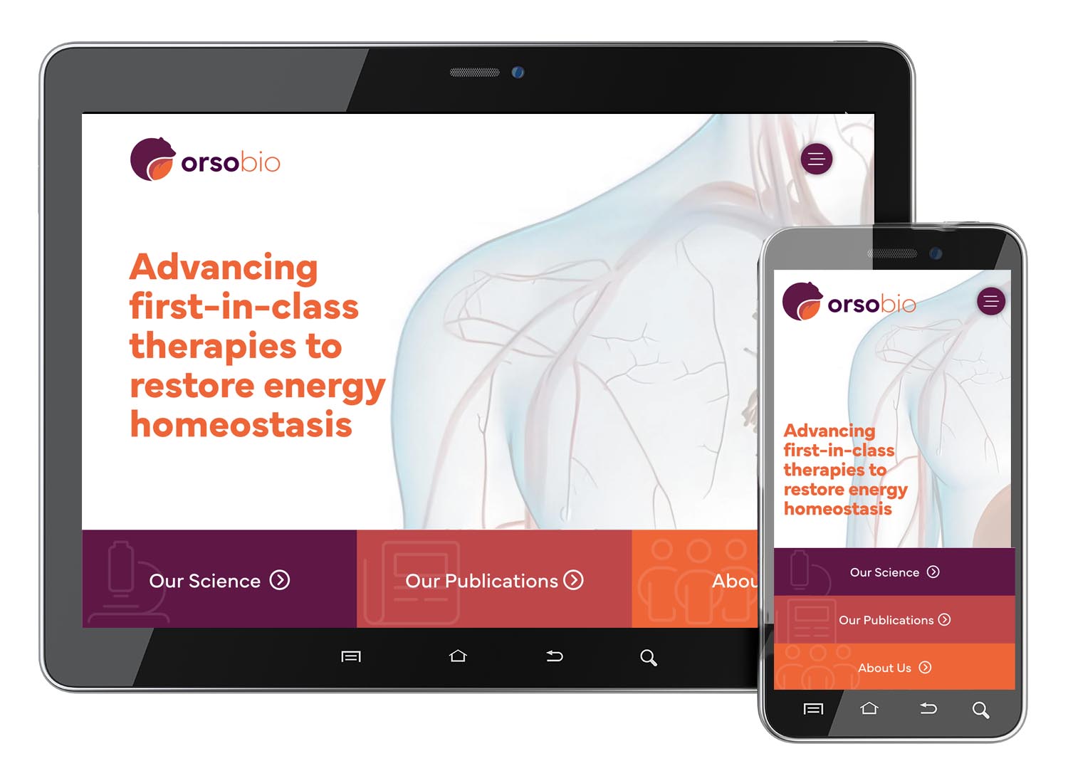 Biotech Website Design Example for OrsoBio