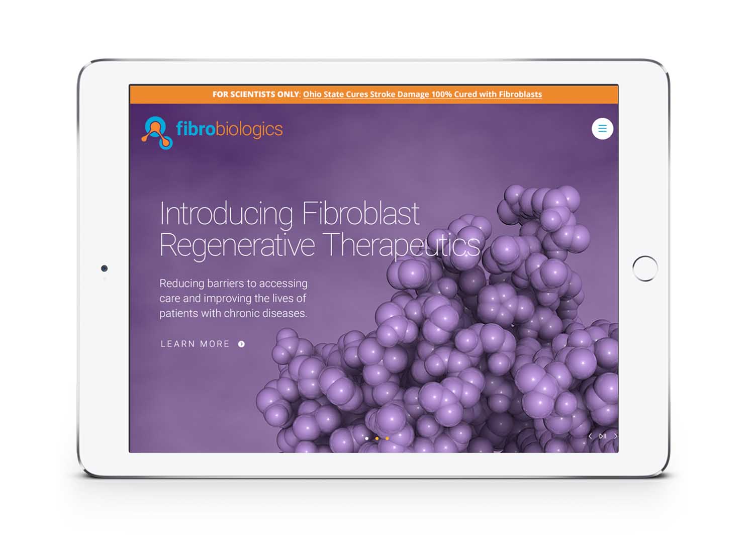 Preclinical stage biotechnology company website IPAD example