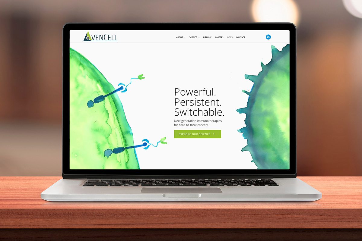 desktop view of the AvenCell biopharma website design