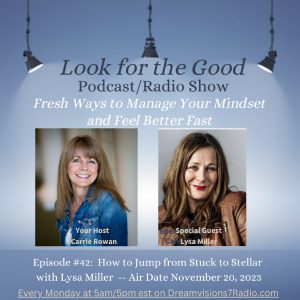 Look for the Good Podcast Image with Lysa Miller and Carrie Rowan