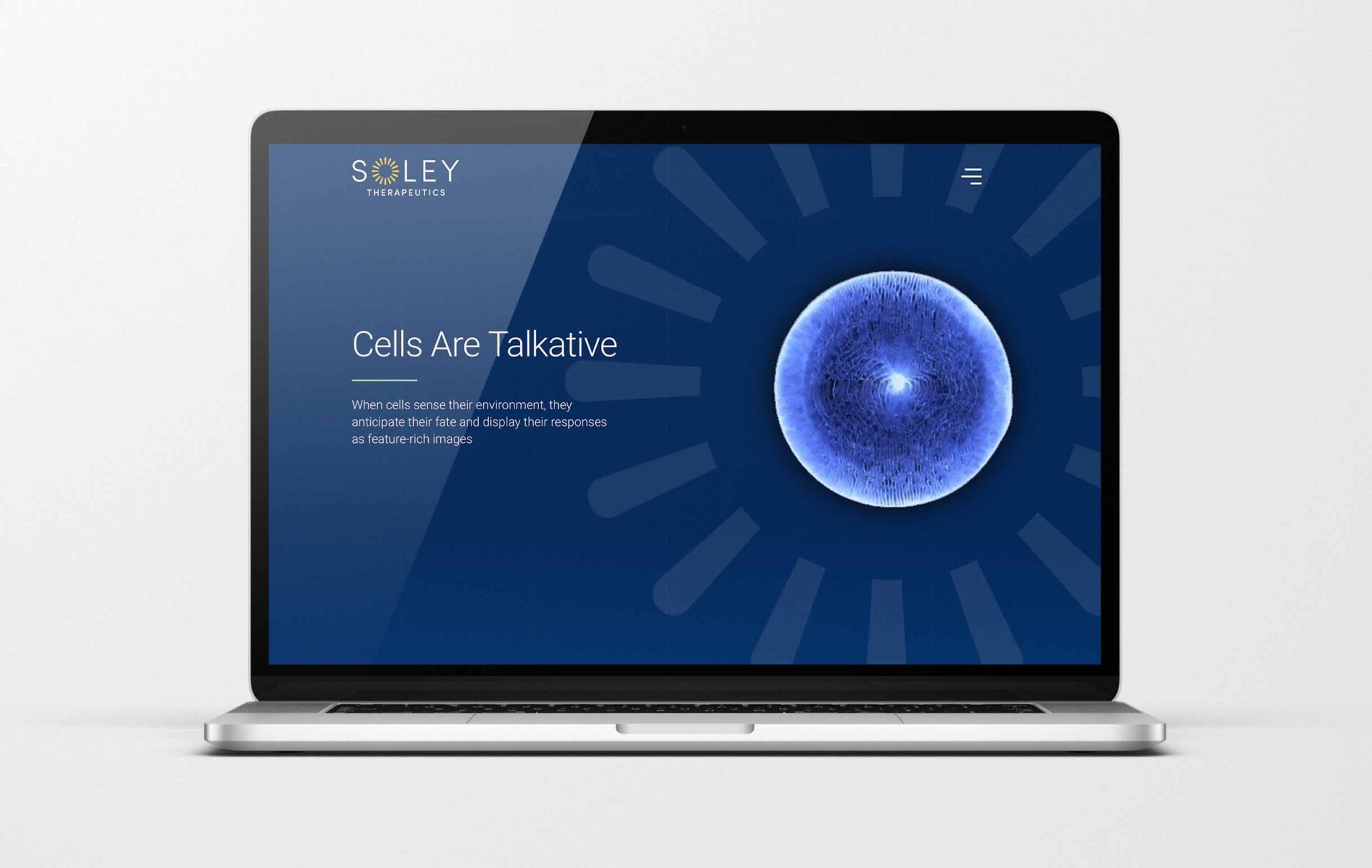 San Francisco Biotech Website Design Example for Solely Therapeutics. 