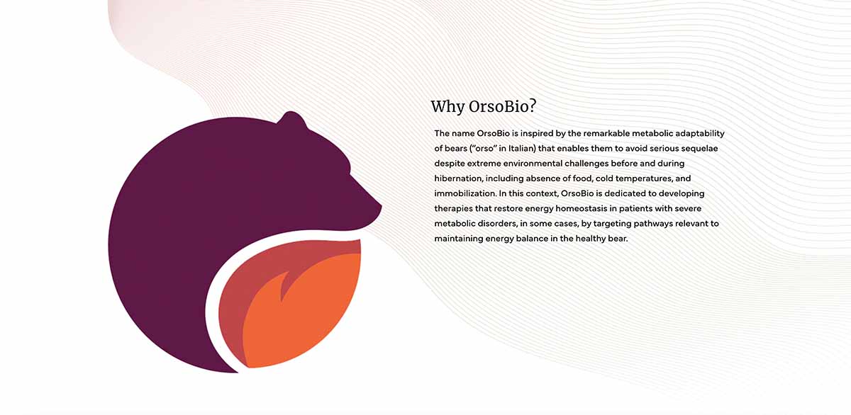 Orsobio logo explanation example