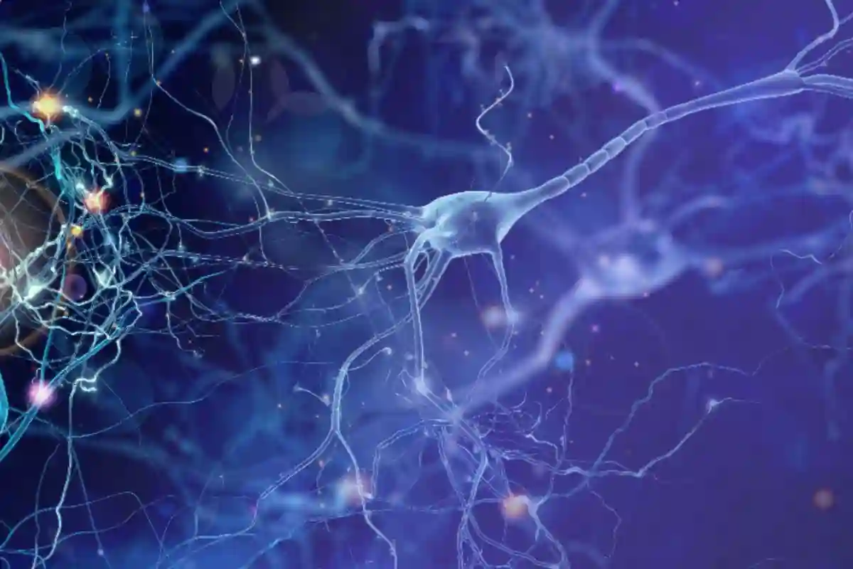 Clinical Stage Biopharma Website Design