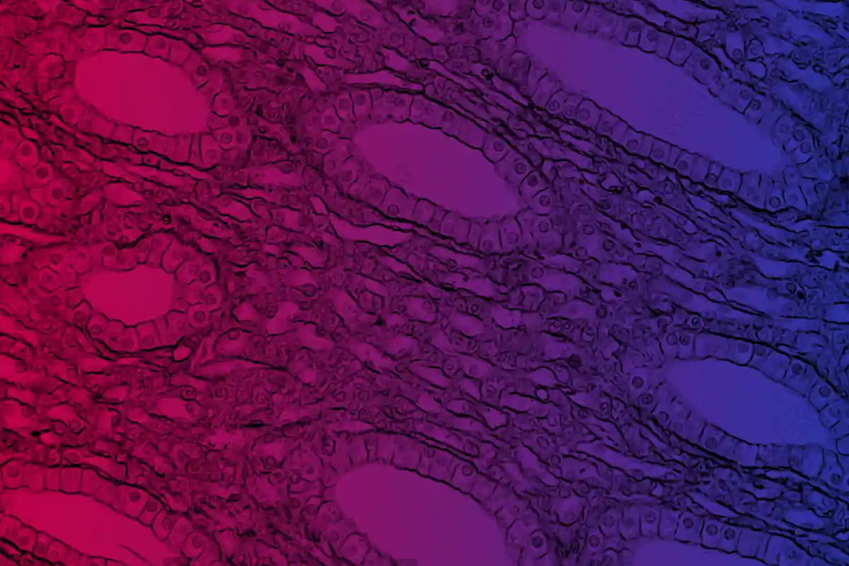 Website Design for a Biotech CRO