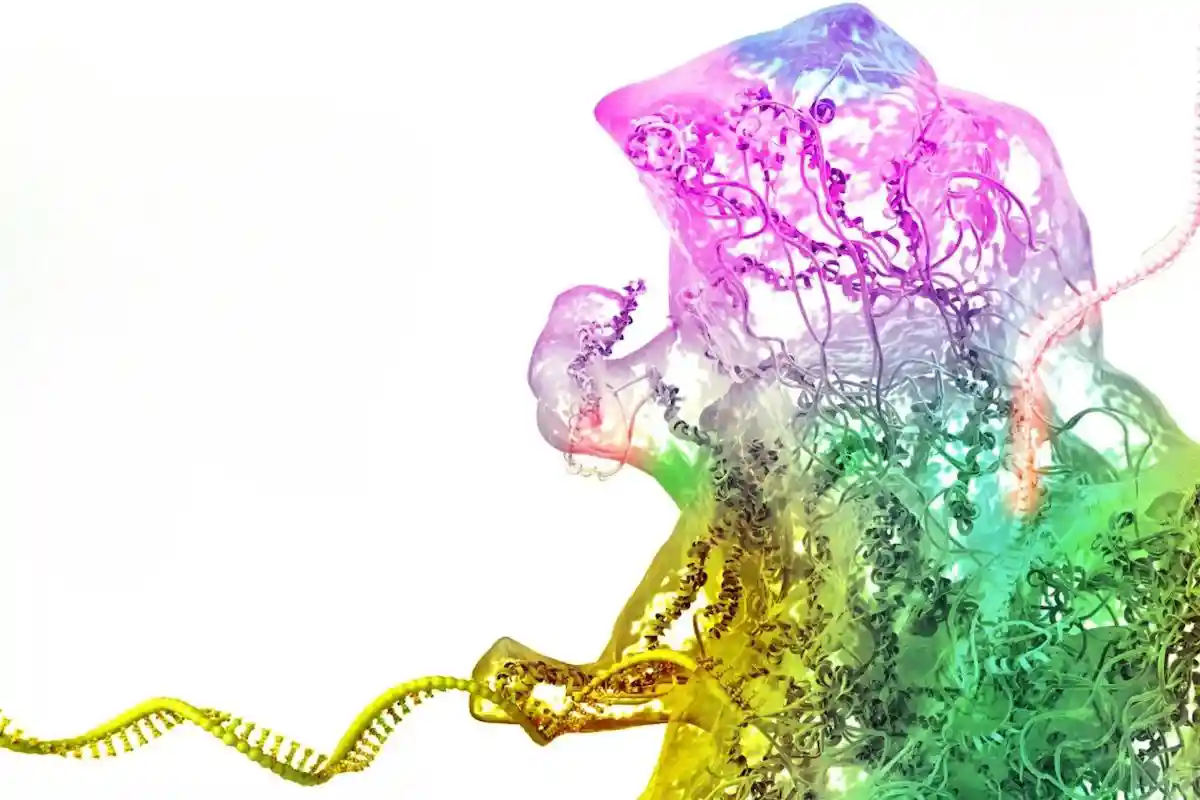 Disruptive Biotech Website Design