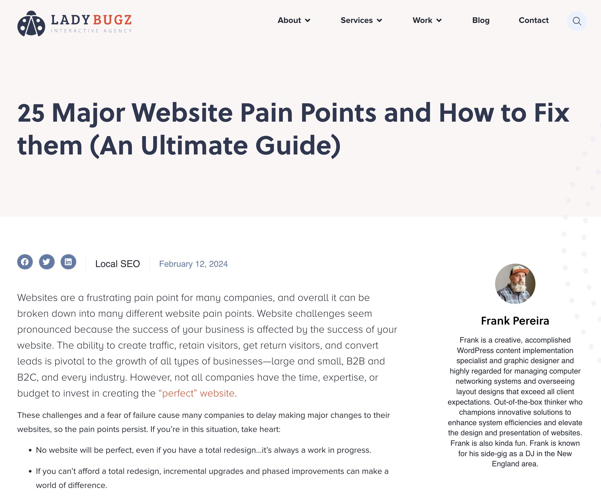 25 Major Website Pain Points and How to Fix them (An Ultimate Guide) Ladybugz Interactive Agency blog post.