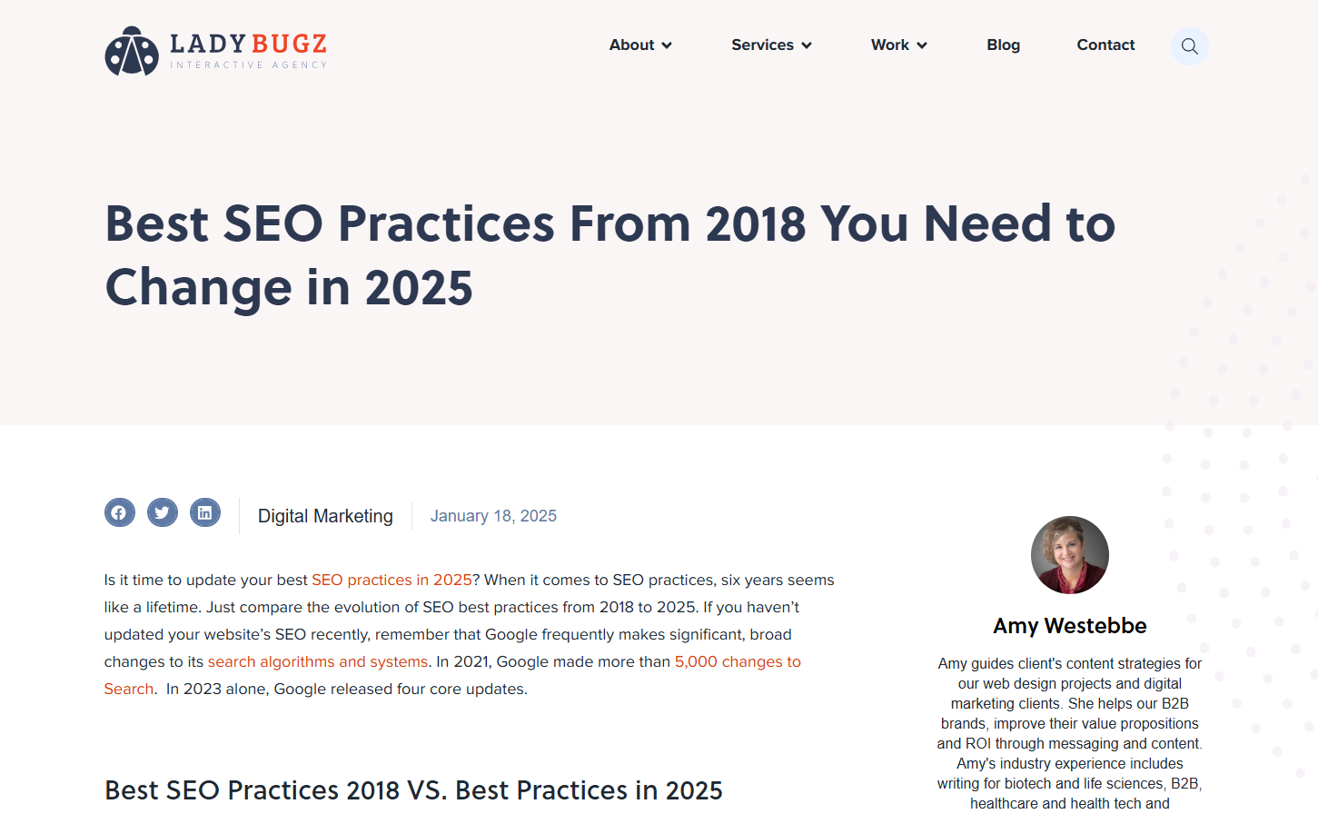 An example of a Ladybugz Interactive Agency blog post that compares and contrasts both ExpressionEngine and WordPress.