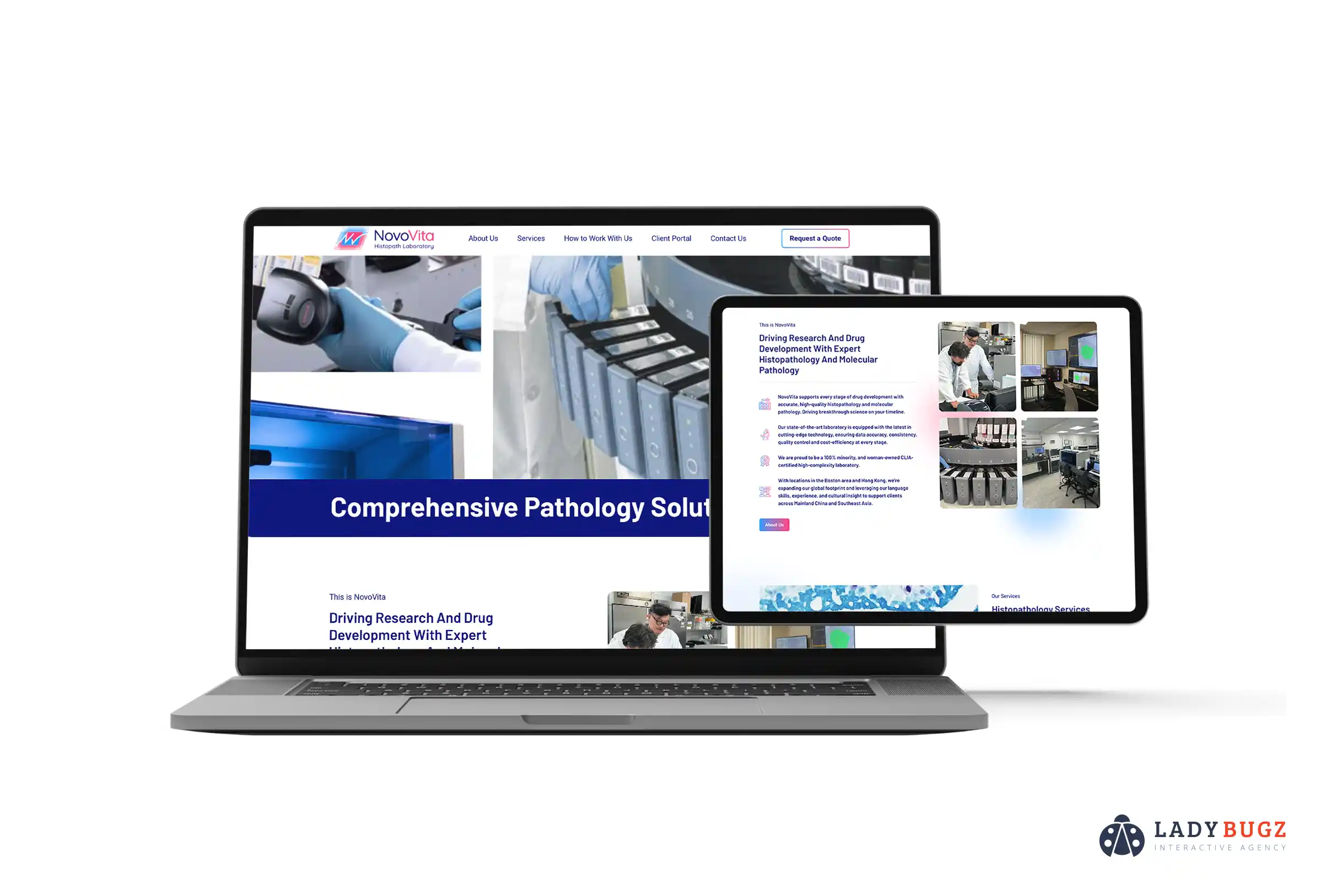 NovoVita website design highlighting Hong Kong expansion and modern visuals