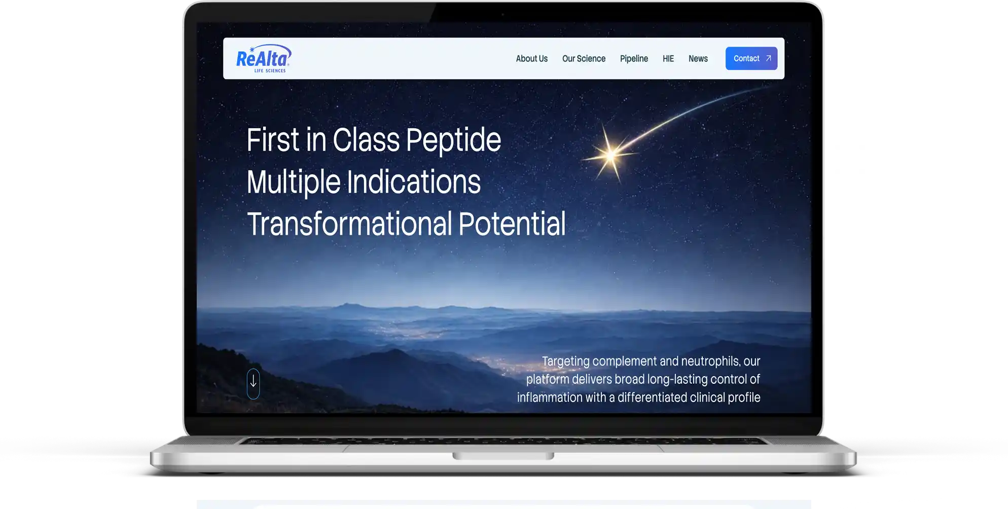 Realta Website Redesign