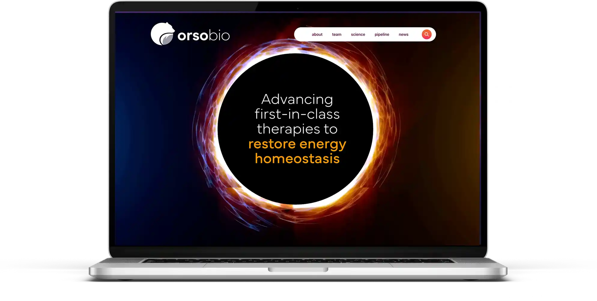 Orso Bio, Biotech Website Redesign Example 