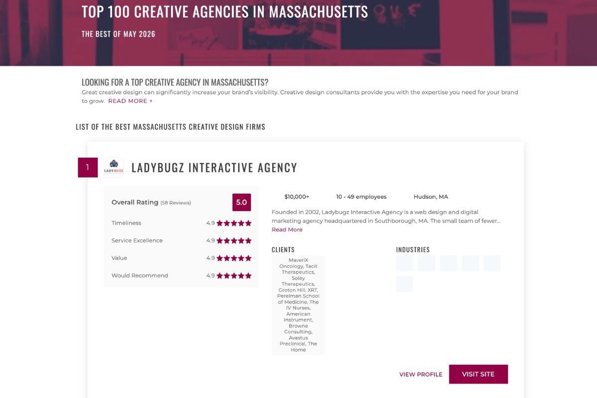 Ladybugz Earns #1 Massachusetts Creative Design Agency Award.