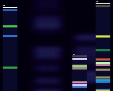 Genomics Sequence Image